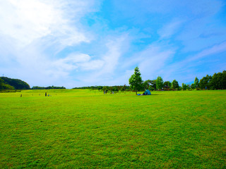 青空と草原