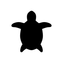 Sea turtle icon