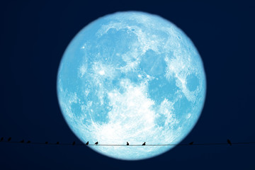 Hay moon planet back silhouette birds on power electric line