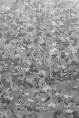 close up of grey metal plate background