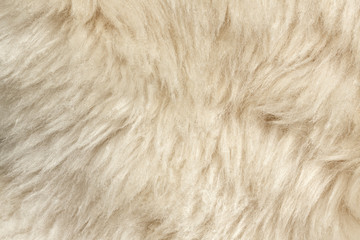 Texture of fur hair background