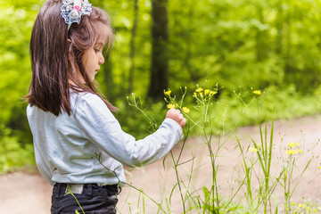 cute little girl picks wild flower at meadow