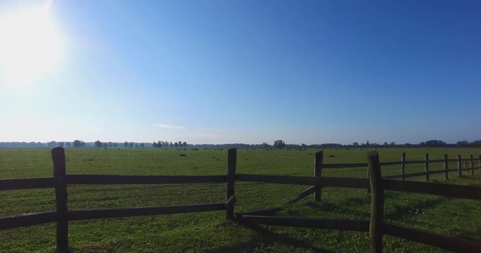 Pasture with cows in the distance, shoot thru gate.