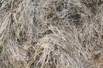 Dry hay bale texture background