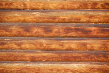 Obraz premium Wooden log wall texture 