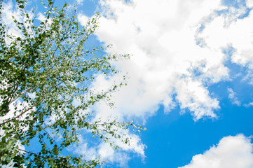 blue sky in the clouds. On a summer day