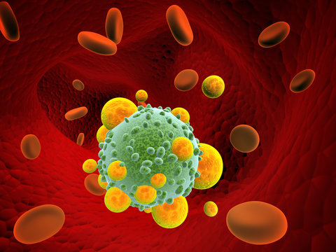Leukocytes attack the pathogen virus