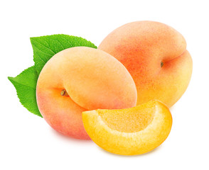 Composition with Ripe Apricots Isolated on White Background