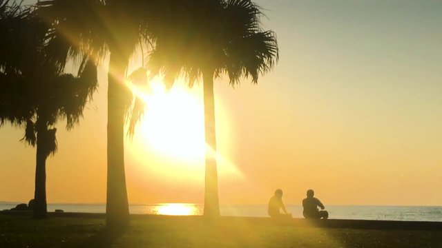 Time Lapse of Palm tree and people near the beach. Araha Beach, Chatan, Okinawa, Japan. Zoom In