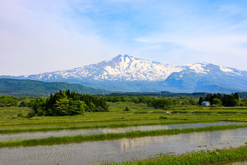 Fototapeta premium 鳥海山