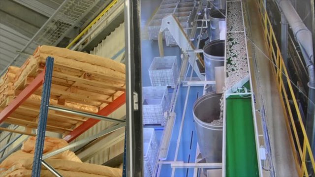 Cork factory, Portugal
Cutting, boiling, machines... all process