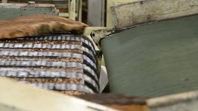 Cork factory, Portugal
Cutting, boiling, machines... all process