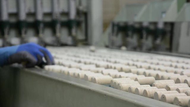 Cork factory, Portugal
Cutting, boiling, machines... all process