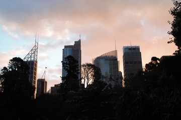 Romantic sunset in central park Sydney Australia 