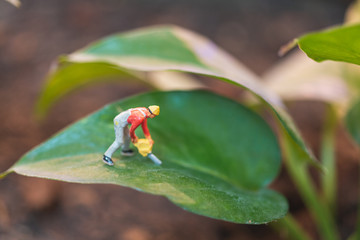 Miniature people : worker team working with tree , protect nature concept