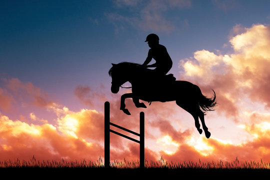 illustration of horse show jumping