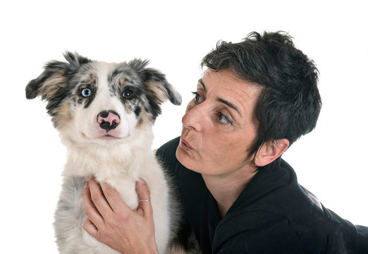 Puppy Border Collie And Woman
