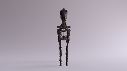 Black Iron Horse Skeletal System Anatomical Model Front View 3d illustration 3d render