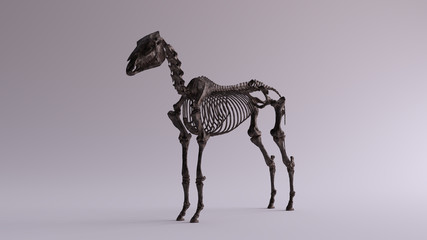 Black Iron Horse Skeletal System Anatomical Model 3 Quarter Front Left View 3d illustration 3d render © paul