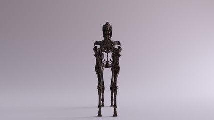 Fototapeta na wymiar Black Iron Horse Skeletal System Anatomical Model Rear View 3d illustration 3d render