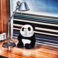 Panda with infinite colors © sandeep
