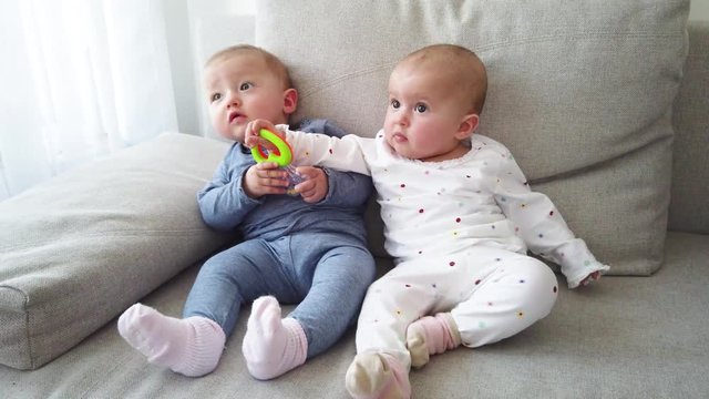 Baby twins sitting on a sofa and try to take a toy