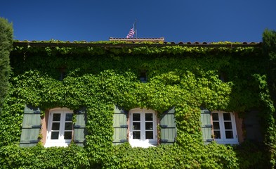 Impressions from the vineyards in Sonoma County from April 29, 2017, California USA