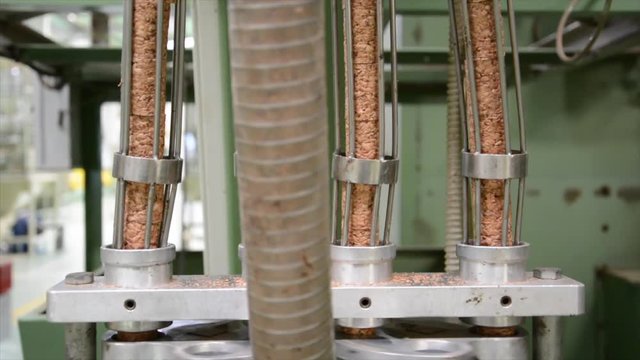 Cork factory, Portugal
Cutting, boiling, machines... all process