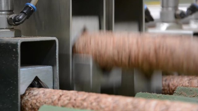Cork factory, Portugal
Cutting, boiling, machines... all process