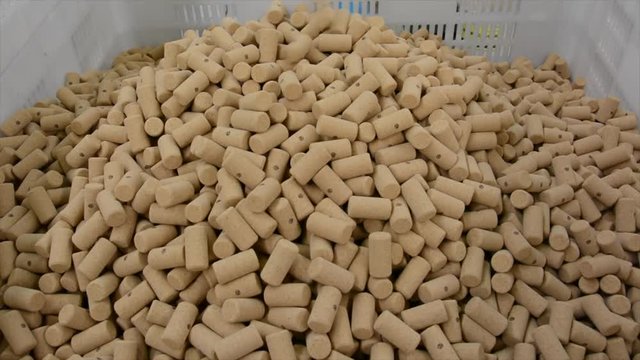 Cork factory, Portugal
Cutting, boiling, machines... all process