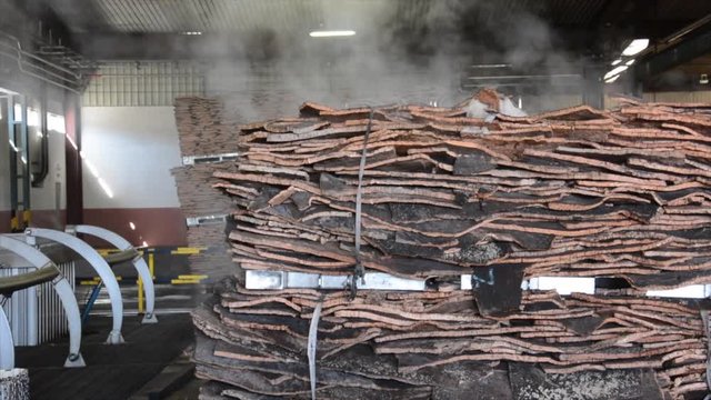 Cork factory, Portugal
Cutting, boiling, machines... all process