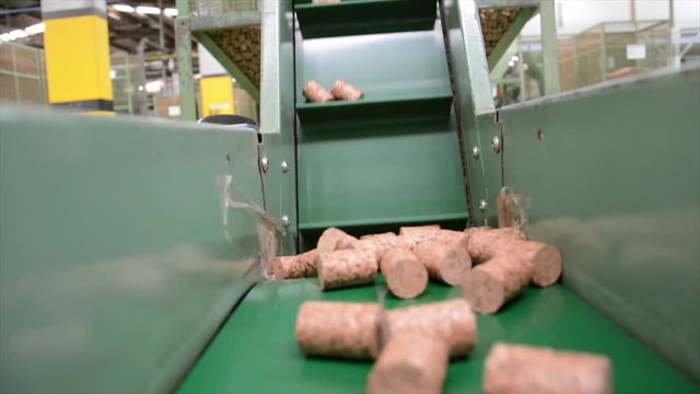 Cork factory, Portugal
Cutting, boiling, machines... all process