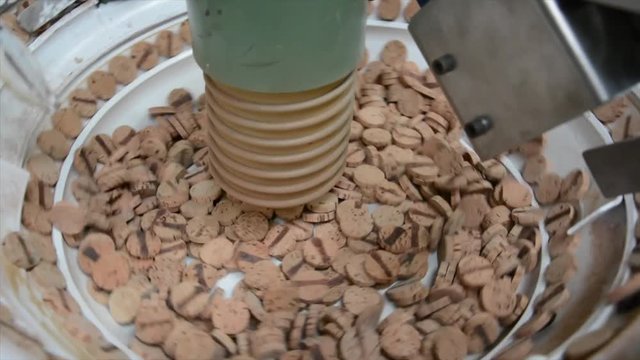 Cork factory, Portugal
Cutting, boiling, machines... all process