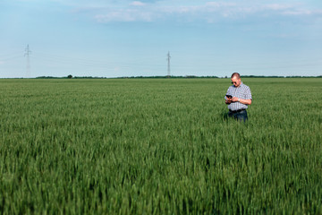 Farmer standing in field holding tablet in his hand and examining wheat crop.