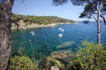 Presqu'ile de giens - sentier littoral