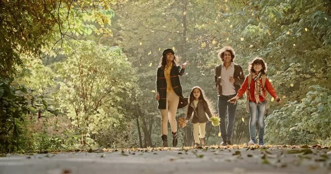 South asian family of four walking in park, happily smiling and looking at each other, then throwing golden leaves - young family concept 4k