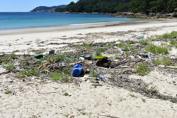 Dirty beach with plastic pollution. Galicia, Spain.