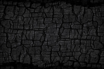 Details on the surface of charcoal.