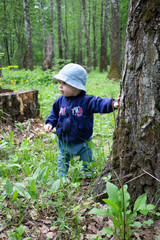 Baby 8-9 months takes the first steps in nature. A girl in the woods looks around holding onto a tree trunk. Girl in jeans and a cap walks through the woods