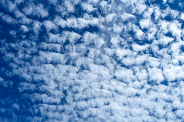 Blue sky background with white clouds.