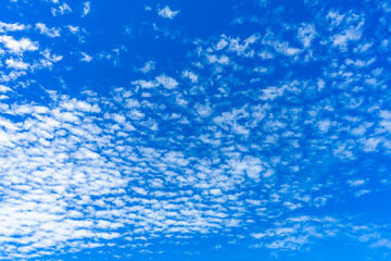 Blue sky background with white clouds.