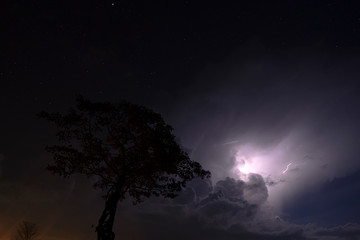 Silhouette tree in the night with rain cloud