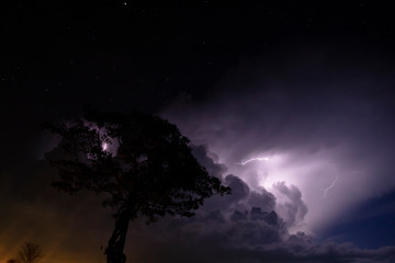 Silhouette tree in the night with rain cloud