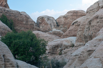 Fototapeta premium Dana reserve - Jordan