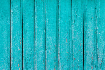 Fototapeta na wymiar Blue cracked paint on wood vintage texture. Painted old wooden aquamarine wall background. Wooden boards grunge background
