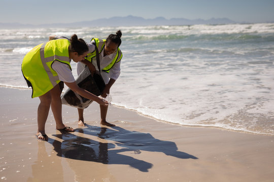 Volunteers cleaning beach on a sunny day