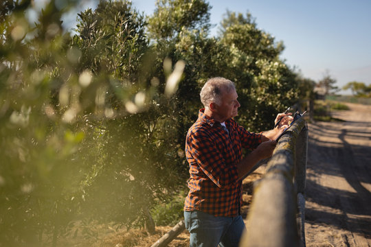 Male senior farmer writing at notepad while standing in farm on a sunny day