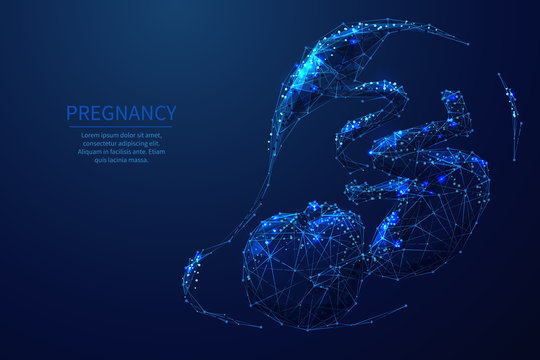 Pregnancy Low Poly Wireframe Illustration