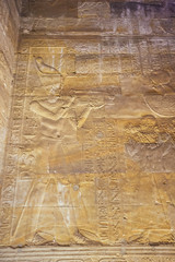 Bas relief of the Pharaoh before Horus in  the Temple in Edfu