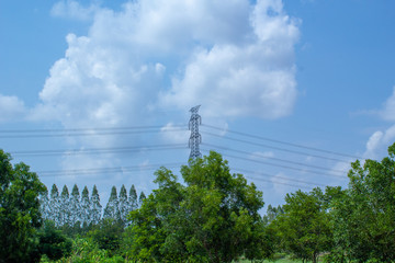 Obraz premium tree and sky